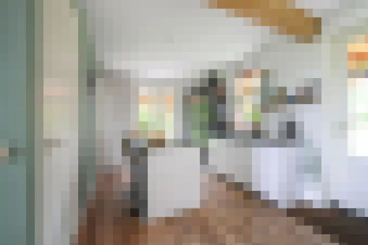 Meijerinkstraat 28 Eefde thumbnail 9