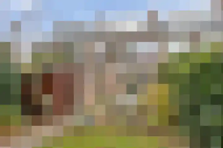 Meijerskade 10 Leiden thumbnail 15