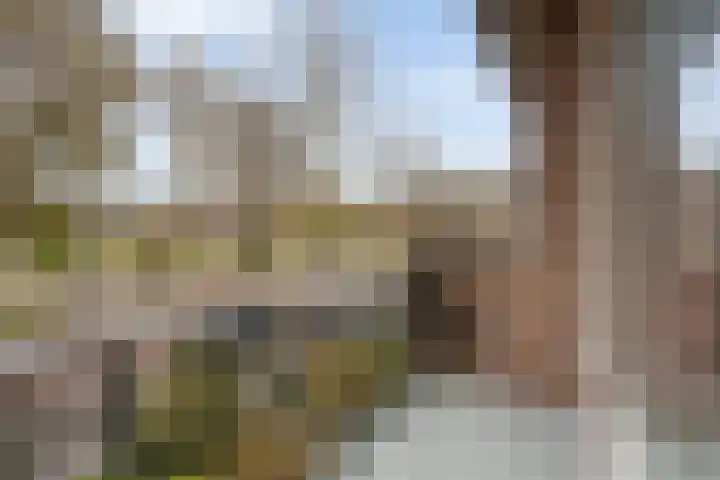 Meijerskade 10 Leiden thumbnail 21