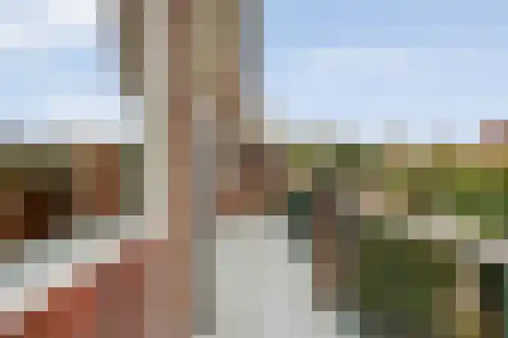 Meijerskade 10 Leiden thumbnail 26