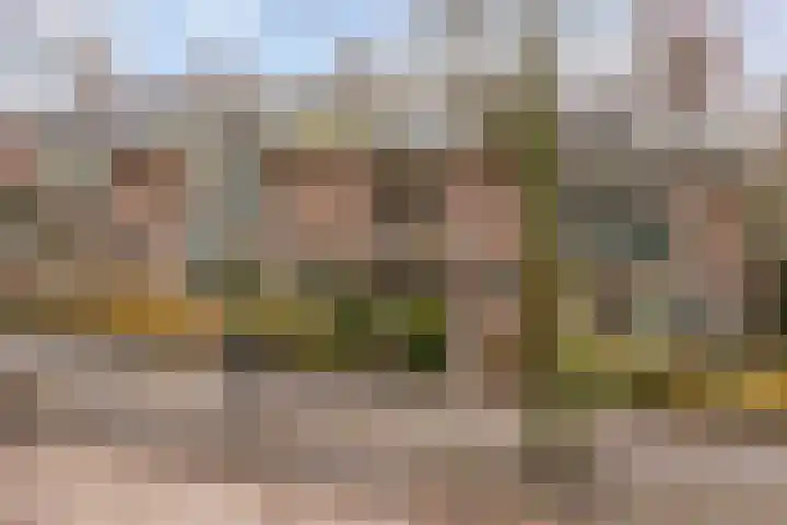 Meijerskade 10 Leiden thumbnail 34
