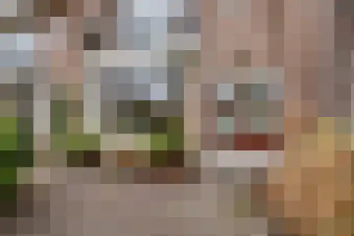 Meijerskade 10 Leiden thumbnail 4
