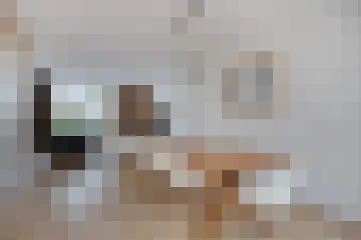 Meijerskade 10 Leiden thumbnail 5