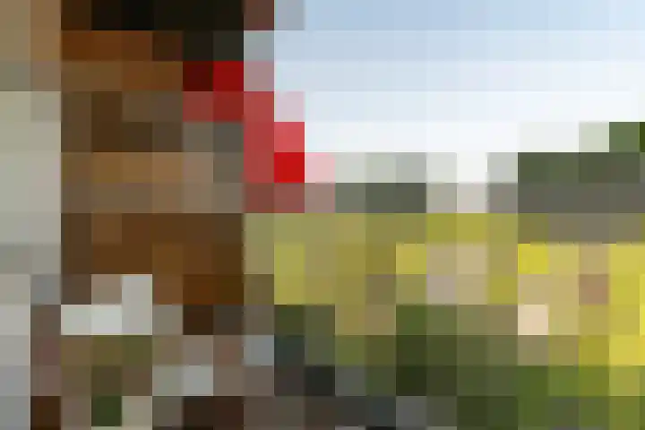 Meijerslaan 104 Heemstede thumbnail 13
