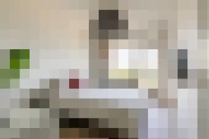 Meijerslaan 104 Heemstede thumbnail 8
