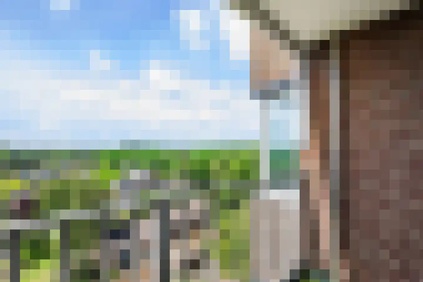 Meijerslaan 120 Heemstede thumbnail 19