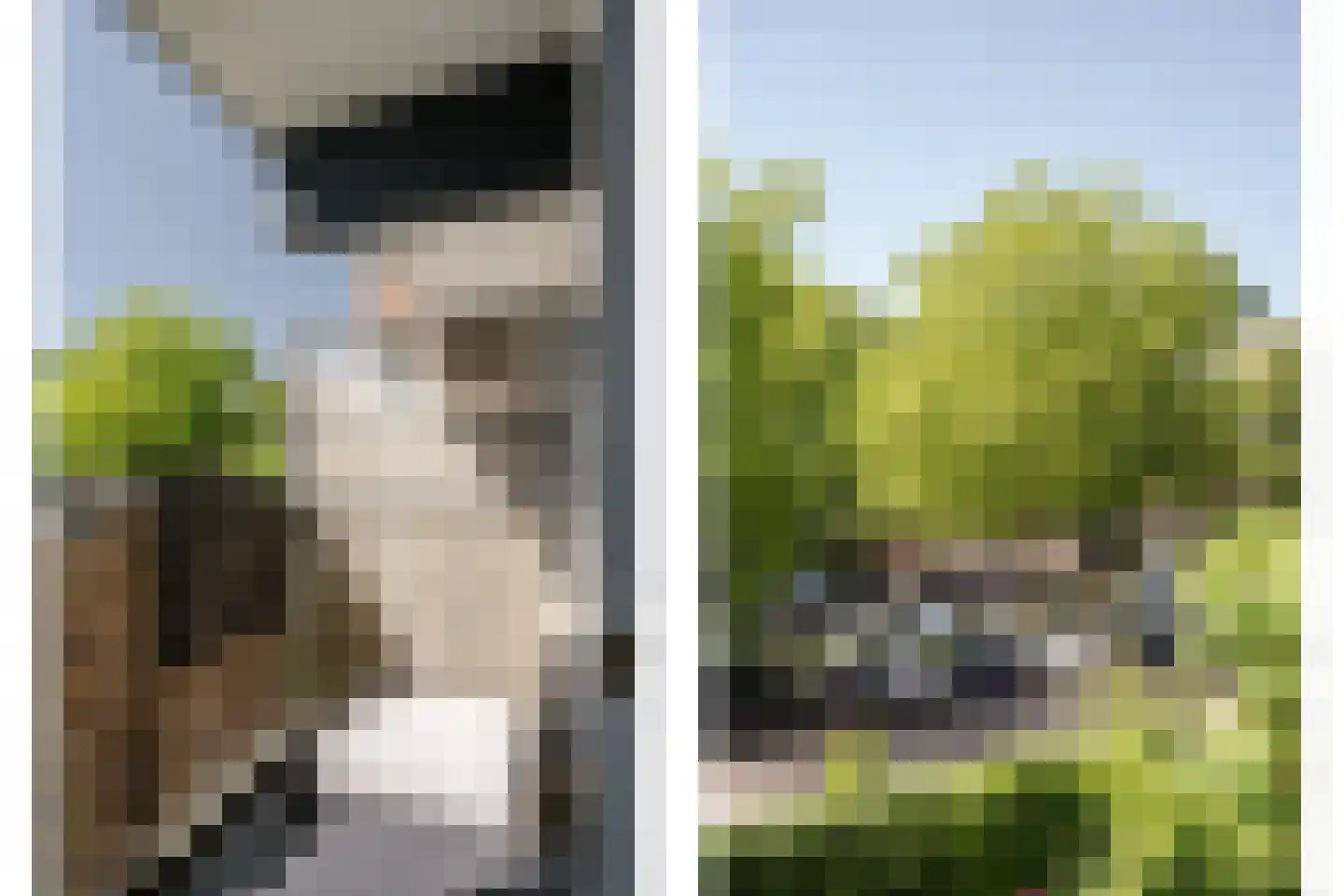 Meijerslaan 170 Heemstede thumbnail 22
