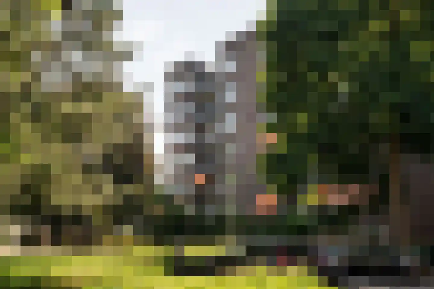 Meijerslaan 170 Heemstede thumbnail 31