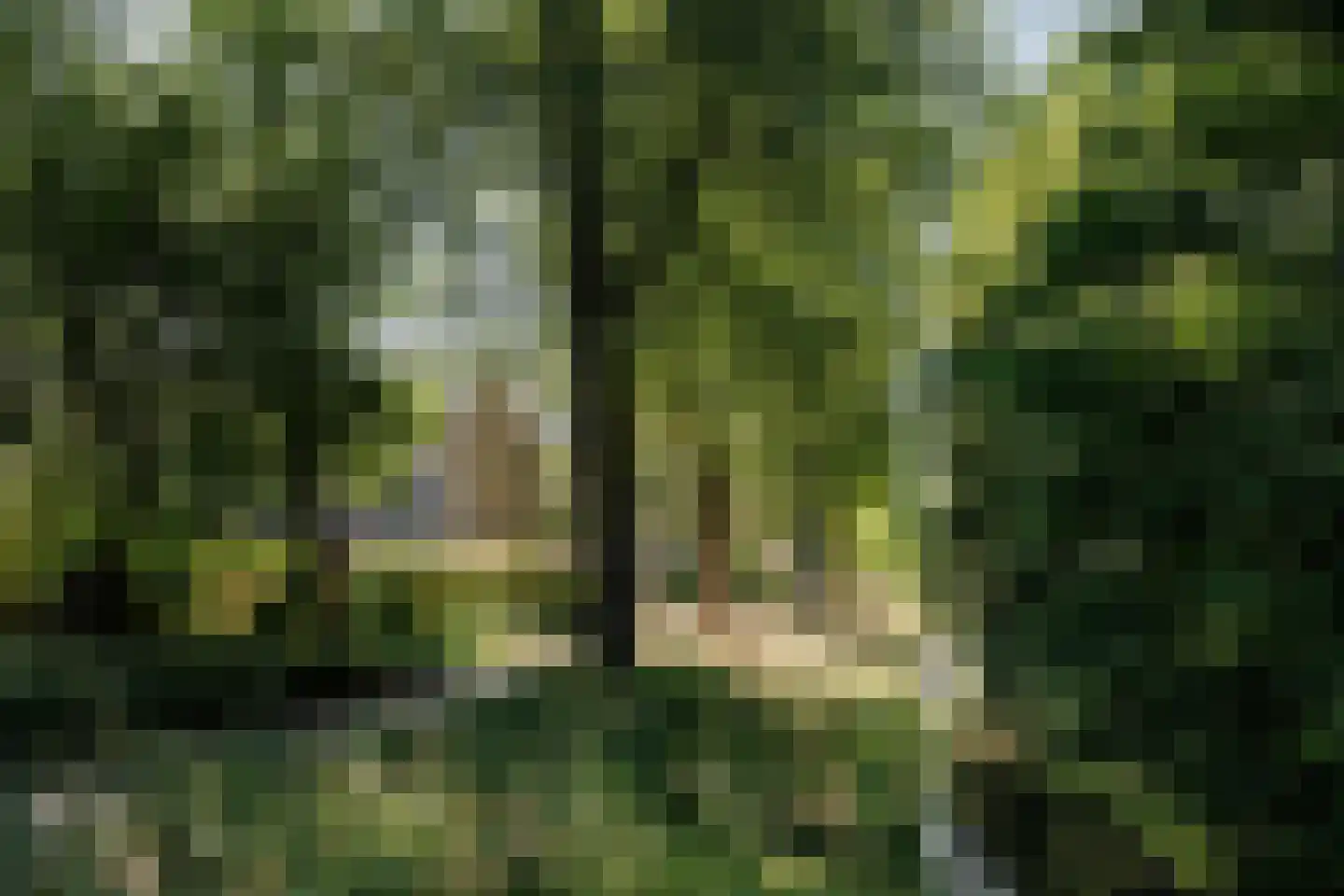 Meijerslaan 170 Heemstede thumbnail 32