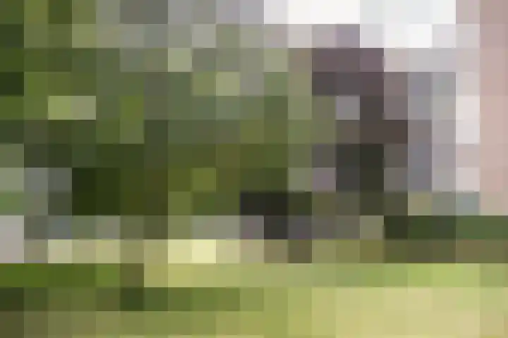 Meijerslaan 182 Heemstede thumbnail 25