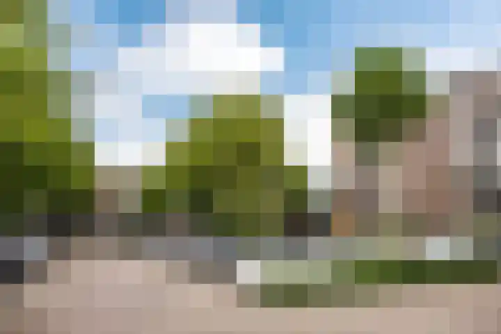 Meijerslaan 182 Heemstede thumbnail 27