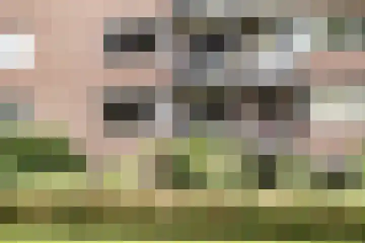 Meijerslaan 182 Heemstede thumbnail 5