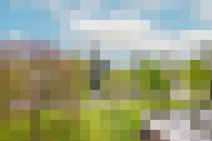 Meijerslaan 212 Heemstede thumbnail 23