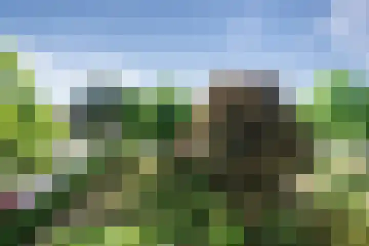 Meijerslaan 214 Heemstede thumbnail 23