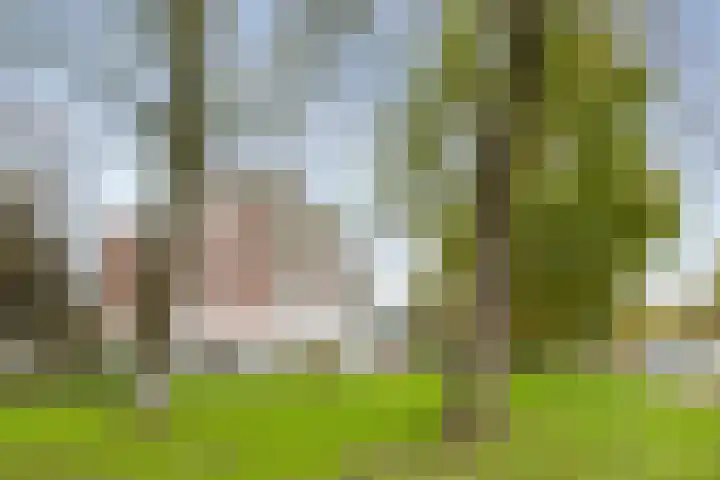 Meijerslaan 214 Heemstede thumbnail 25
