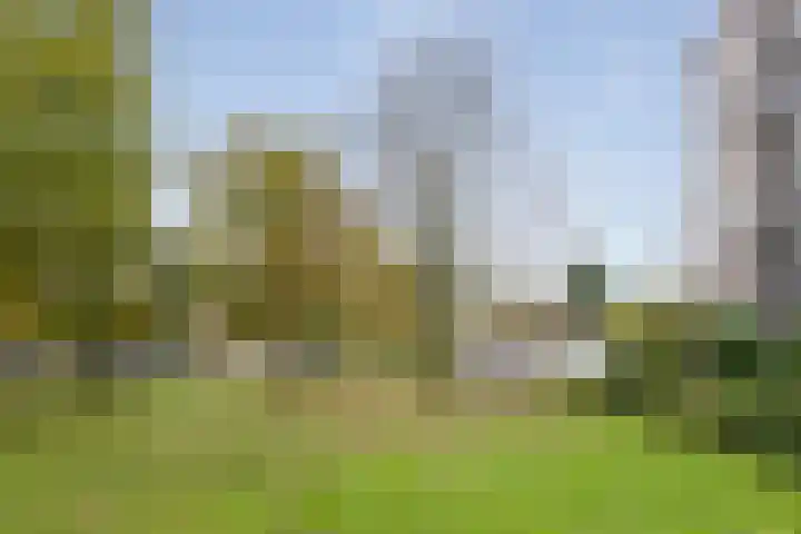 Meijerslaan 214 Heemstede thumbnail 26