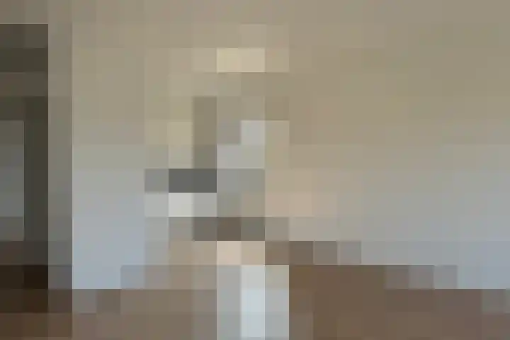 Meijerslaan 234 Heemstede thumbnail 5