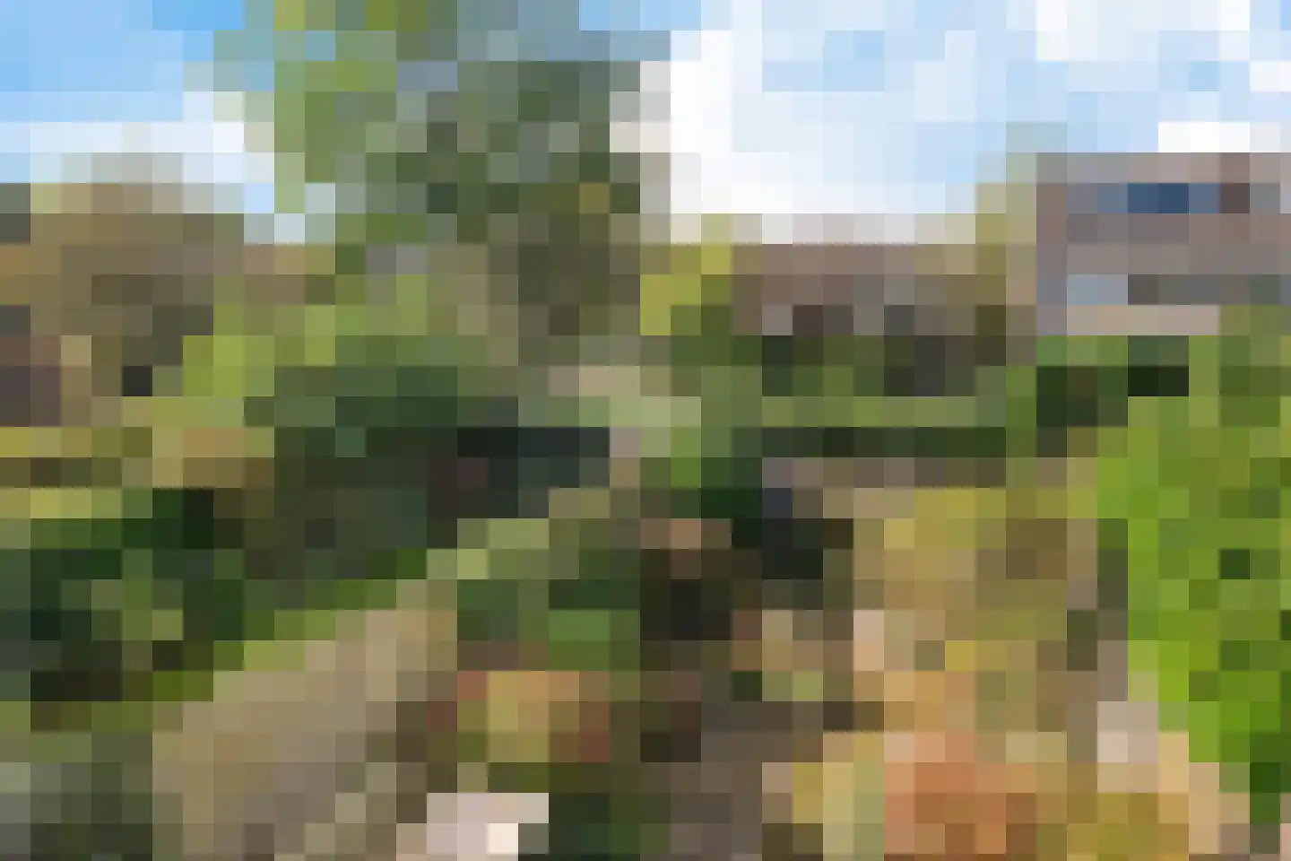 Meijerslaan 3 Heemstede thumbnail 20