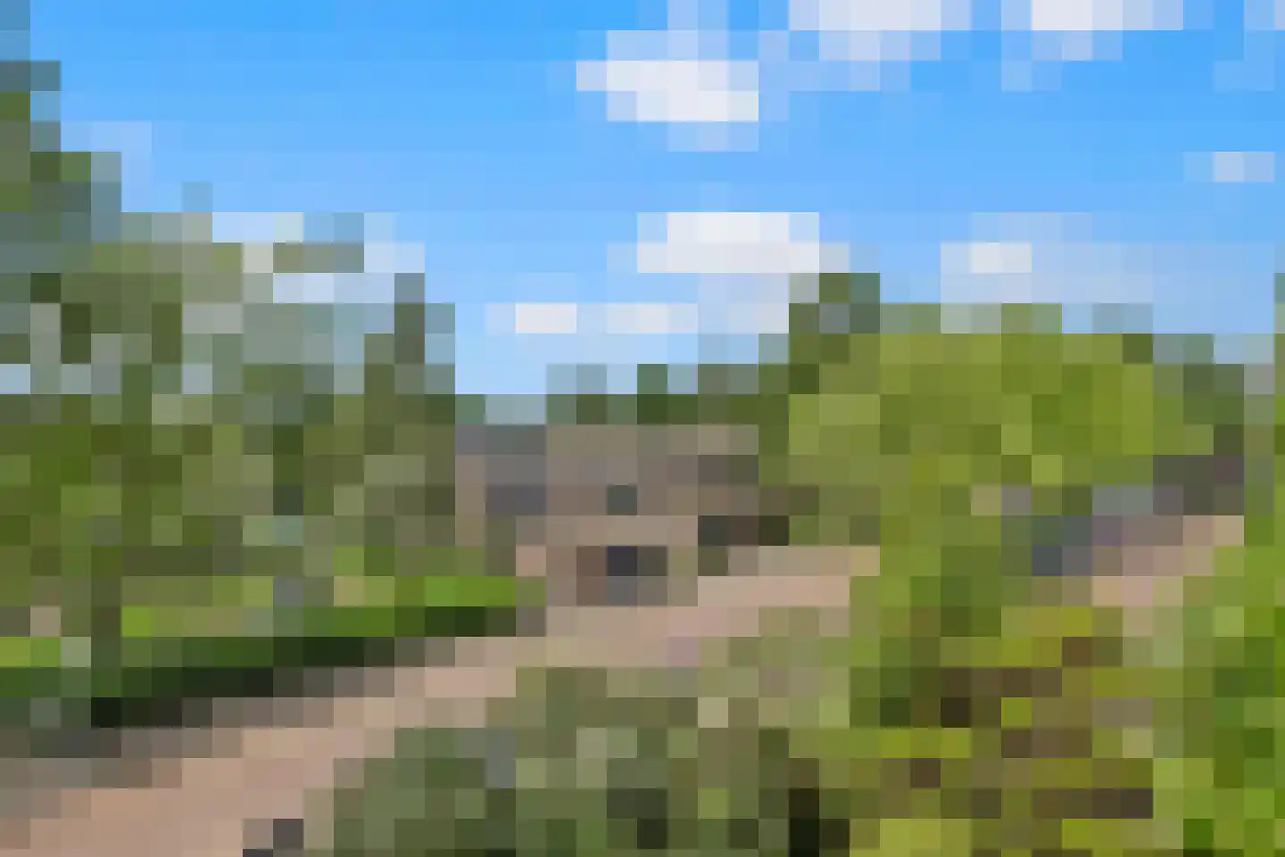 Meijerslaan 36 Heemstede thumbnail 4