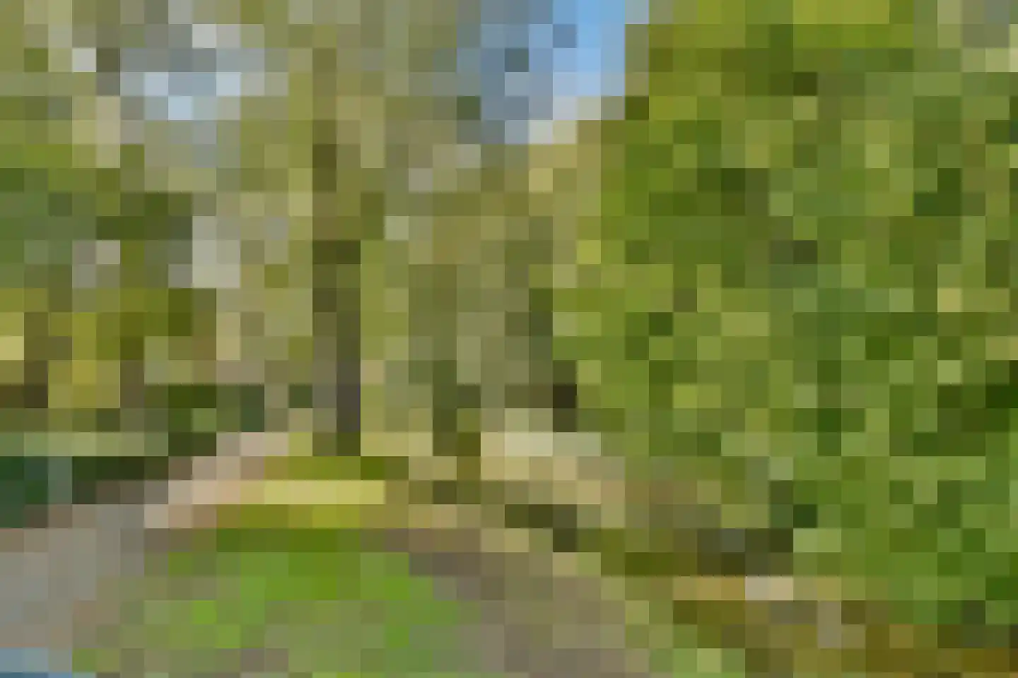 Meijerslaan 56 Heemstede thumbnail 23