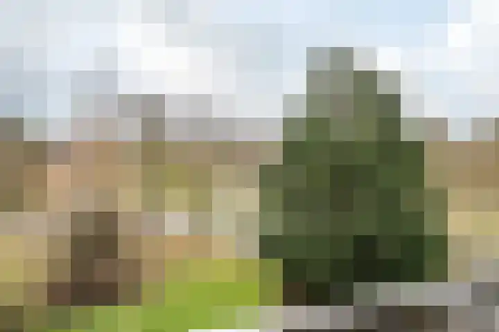 Meijerslaan 76 Heemstede thumbnail 20