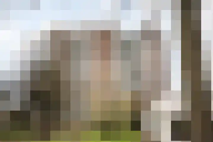 Meijerslaan 76 Heemstede thumbnail 28