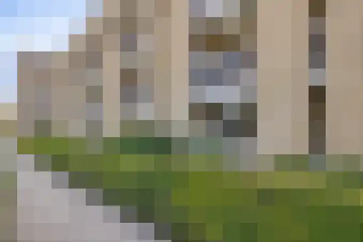 Meijersplein-Noord 4 Rotterdam thumbnail 17