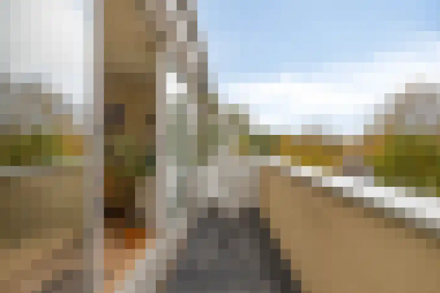 Meijersplein-Noord 46 Rotterdam thumbnail 23