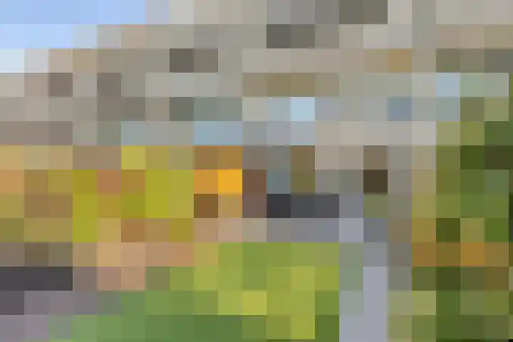 Meijersplein-Noord 8 Rotterdam thumbnail 17