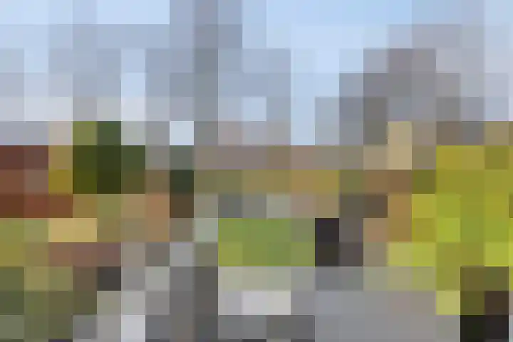 Meijersplein-Noord 8 Rotterdam thumbnail 18