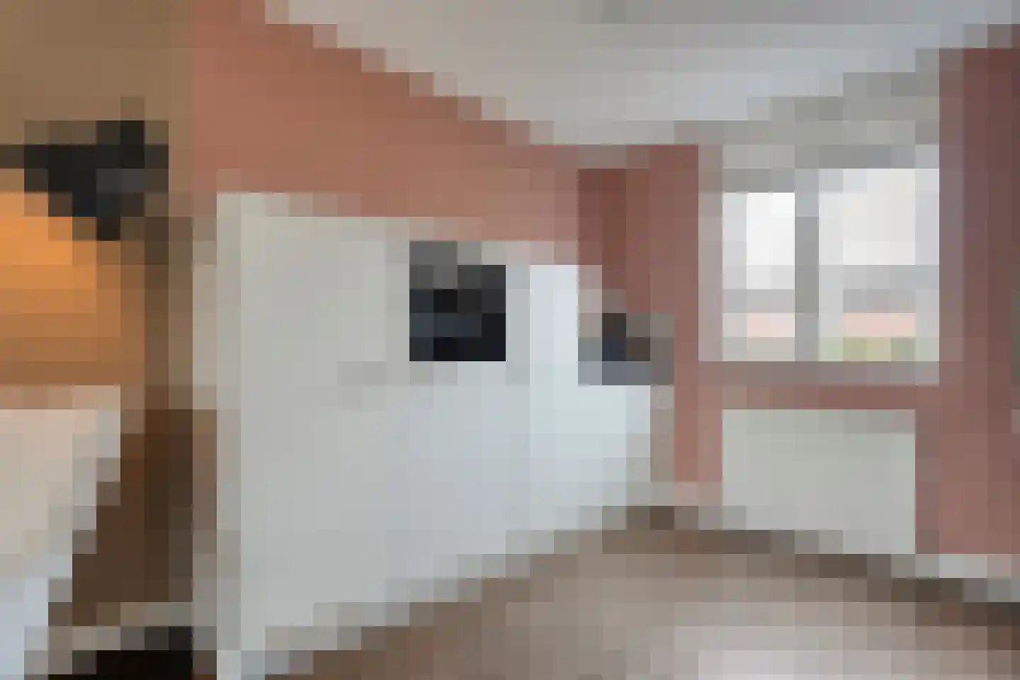 Meijerstraat 14 Hardenberg thumbnail 12
