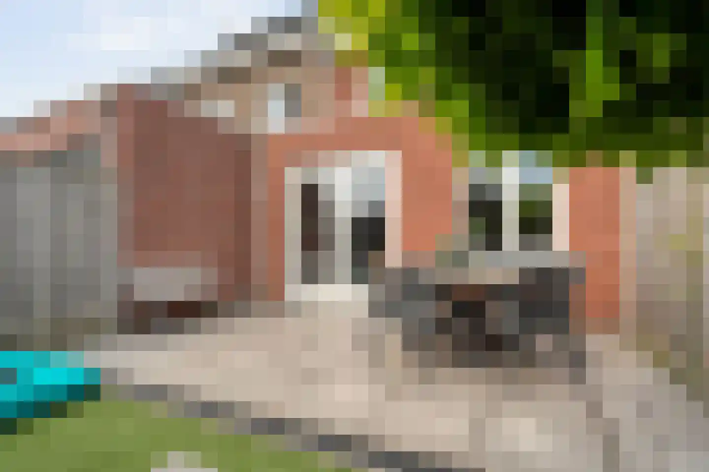 Meijerstraat 14 Hardenberg thumbnail 39