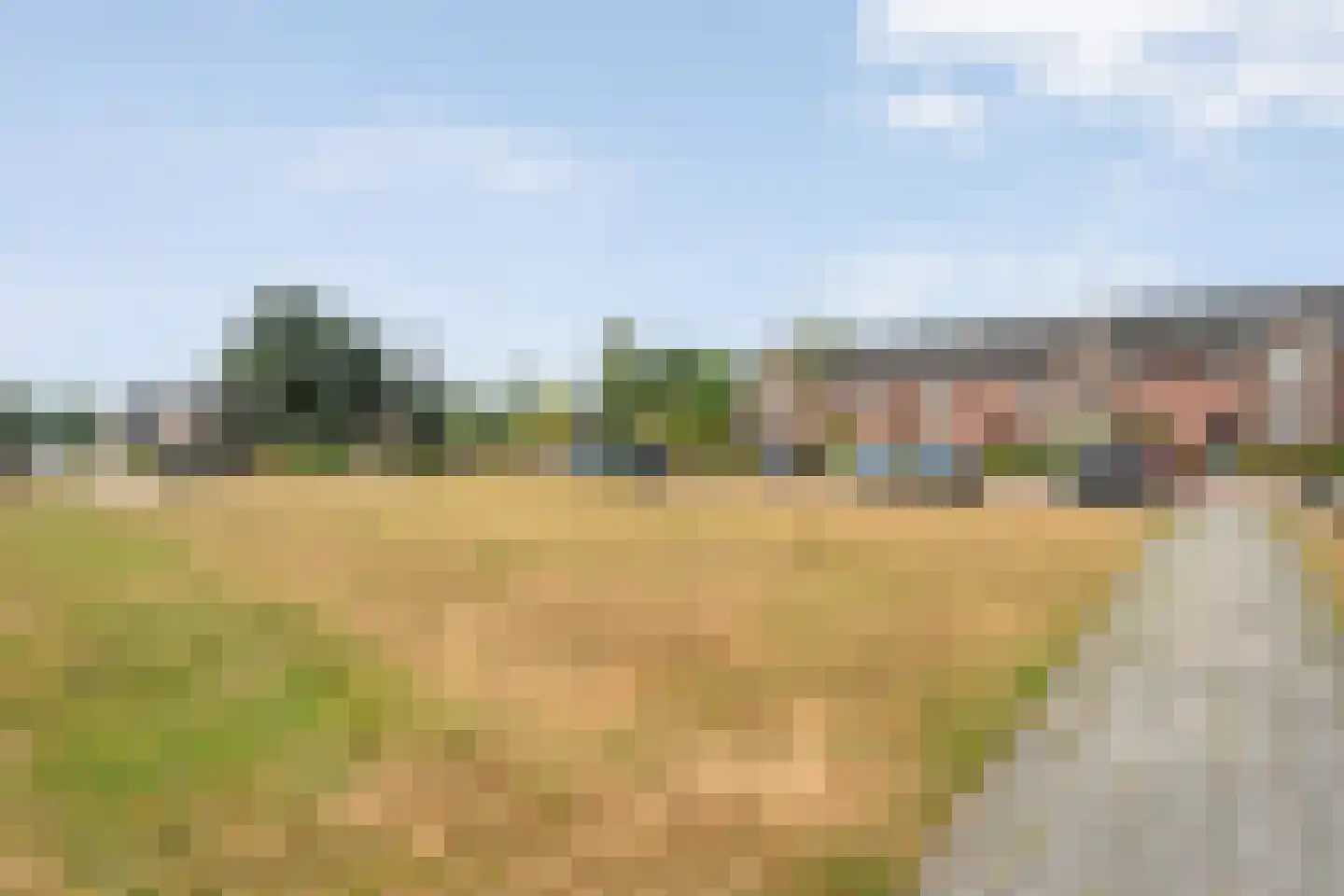Meijerstraat 14 Hardenberg thumbnail 50