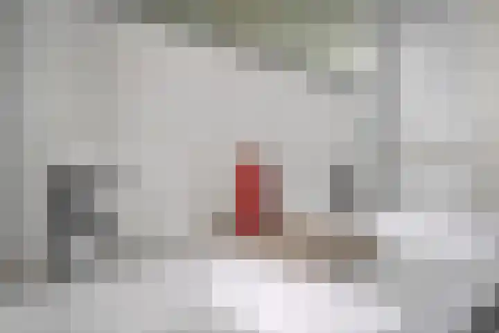 Meijerstraat 20 Hardenberg thumbnail 21