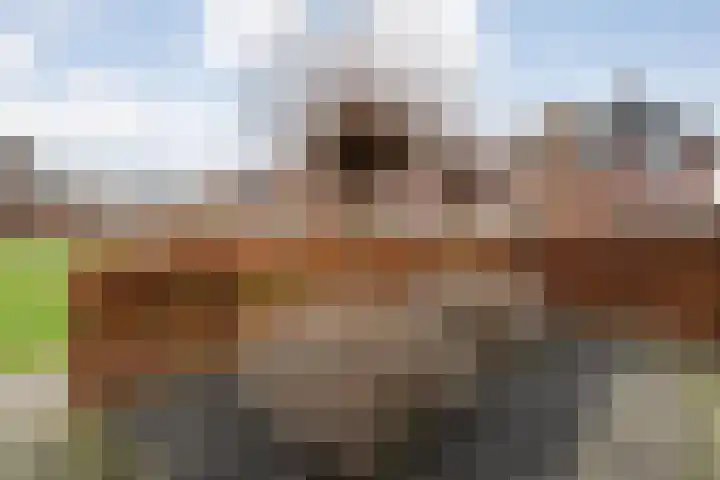 Meijerstraat 20 Hardenberg thumbnail 33