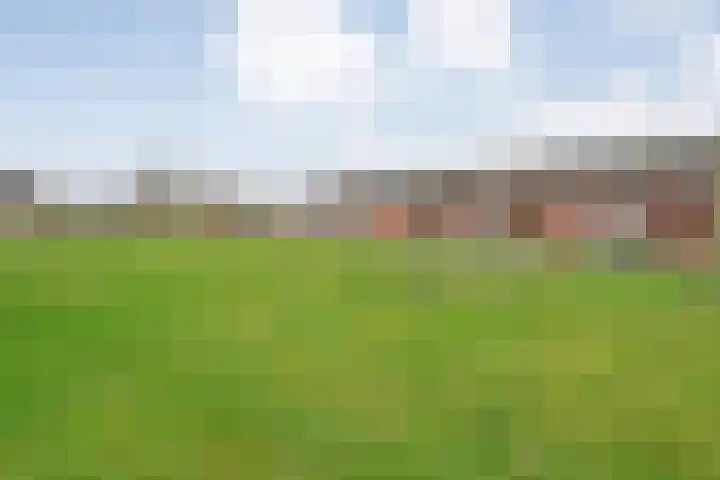 Meijerstraat 20 Hardenberg thumbnail 34