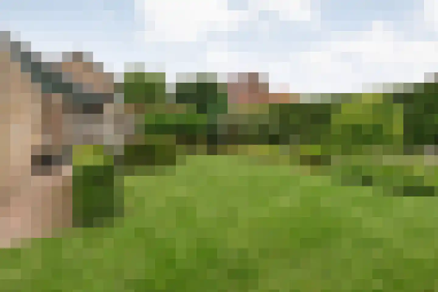Meijerstraat 28 Ootmarsum thumbnail 23