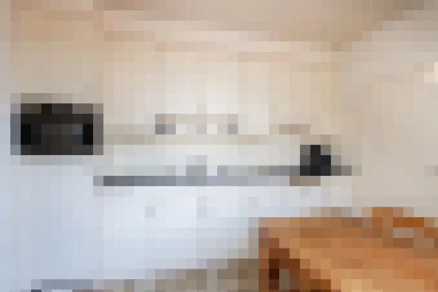 Meijersweg 28 Neede thumbnail 13