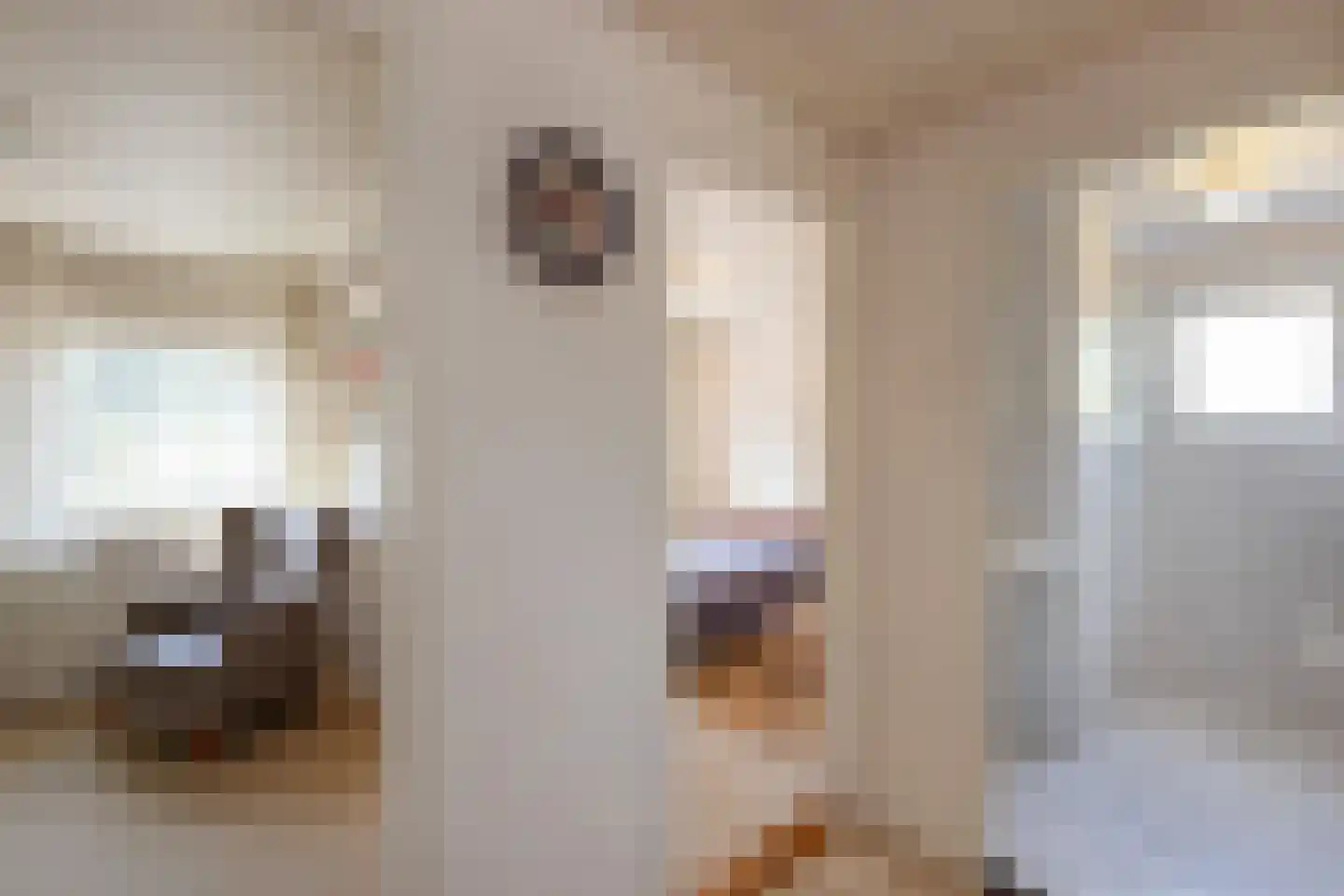 Meijersweg 28 Neede thumbnail 19