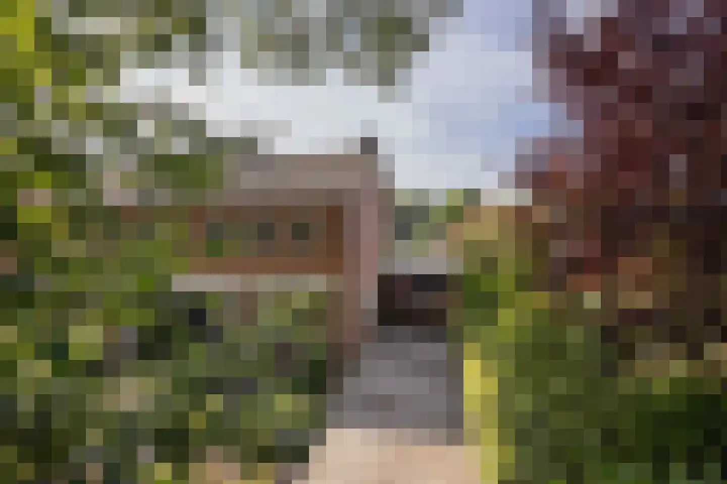 Meijersweg 28 Neede thumbnail 38