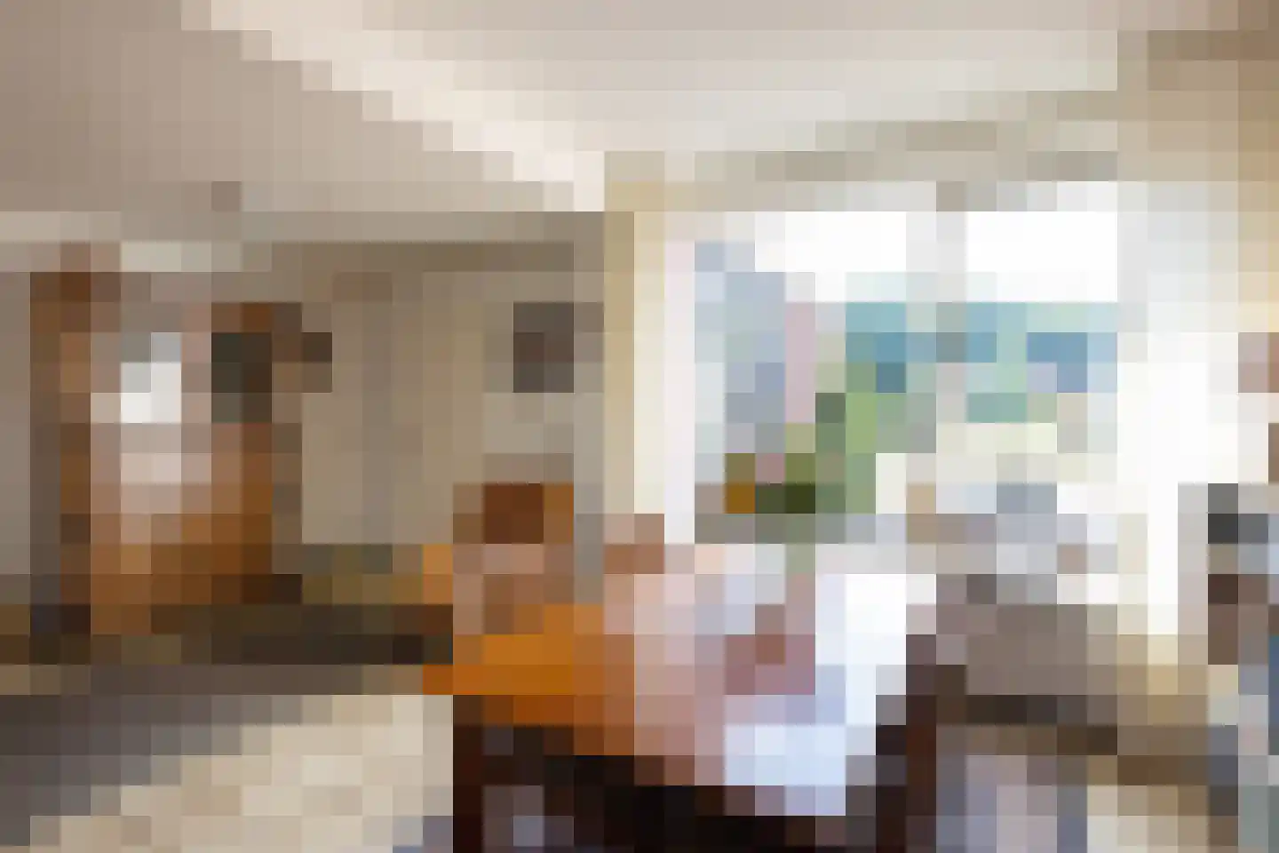 Meijersweg 28 Neede thumbnail 8