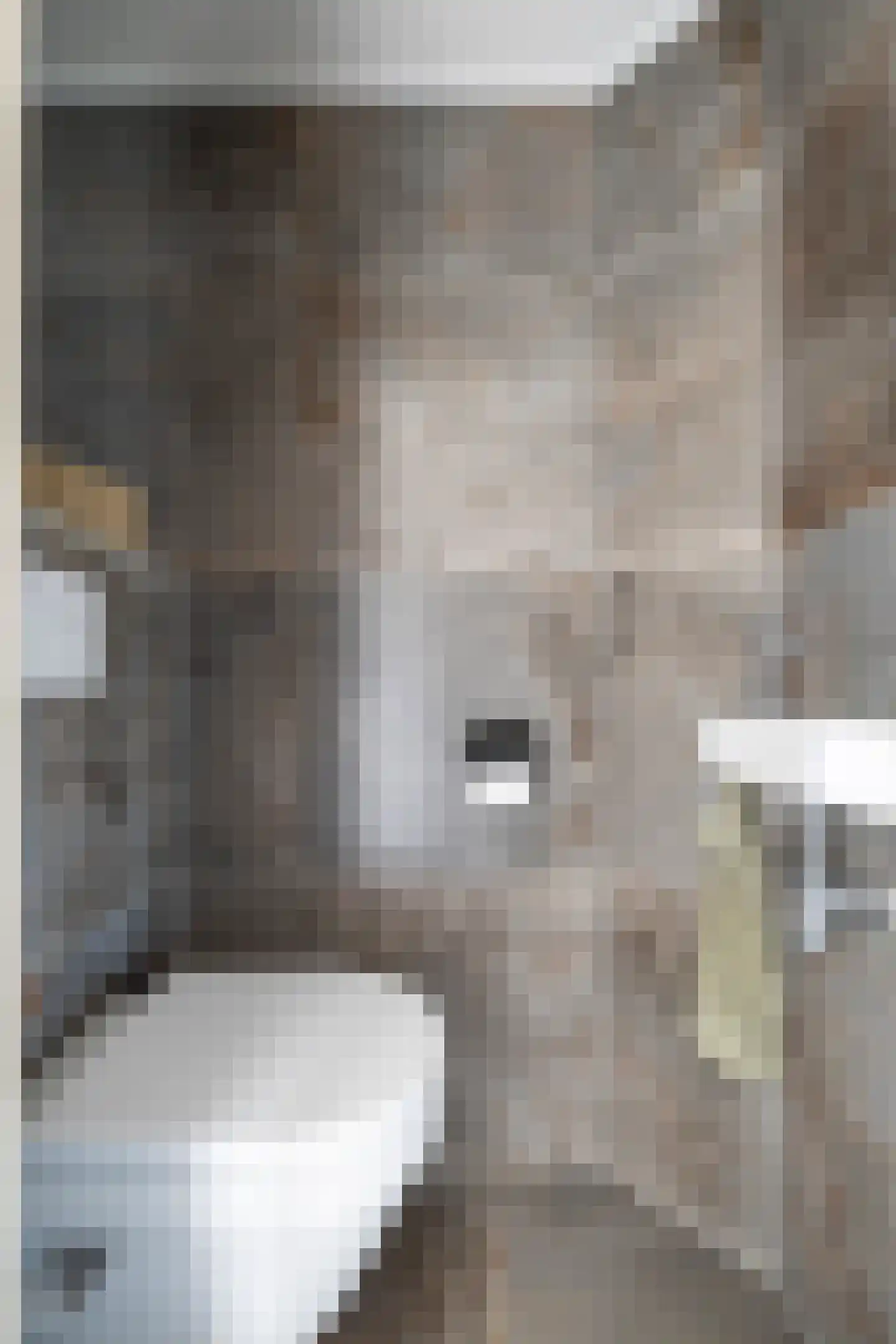 Meijerswegje 22 Emmen thumbnail 11
