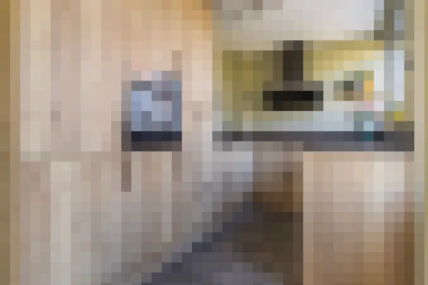 Meijerswegje 22 Emmen thumbnail 17