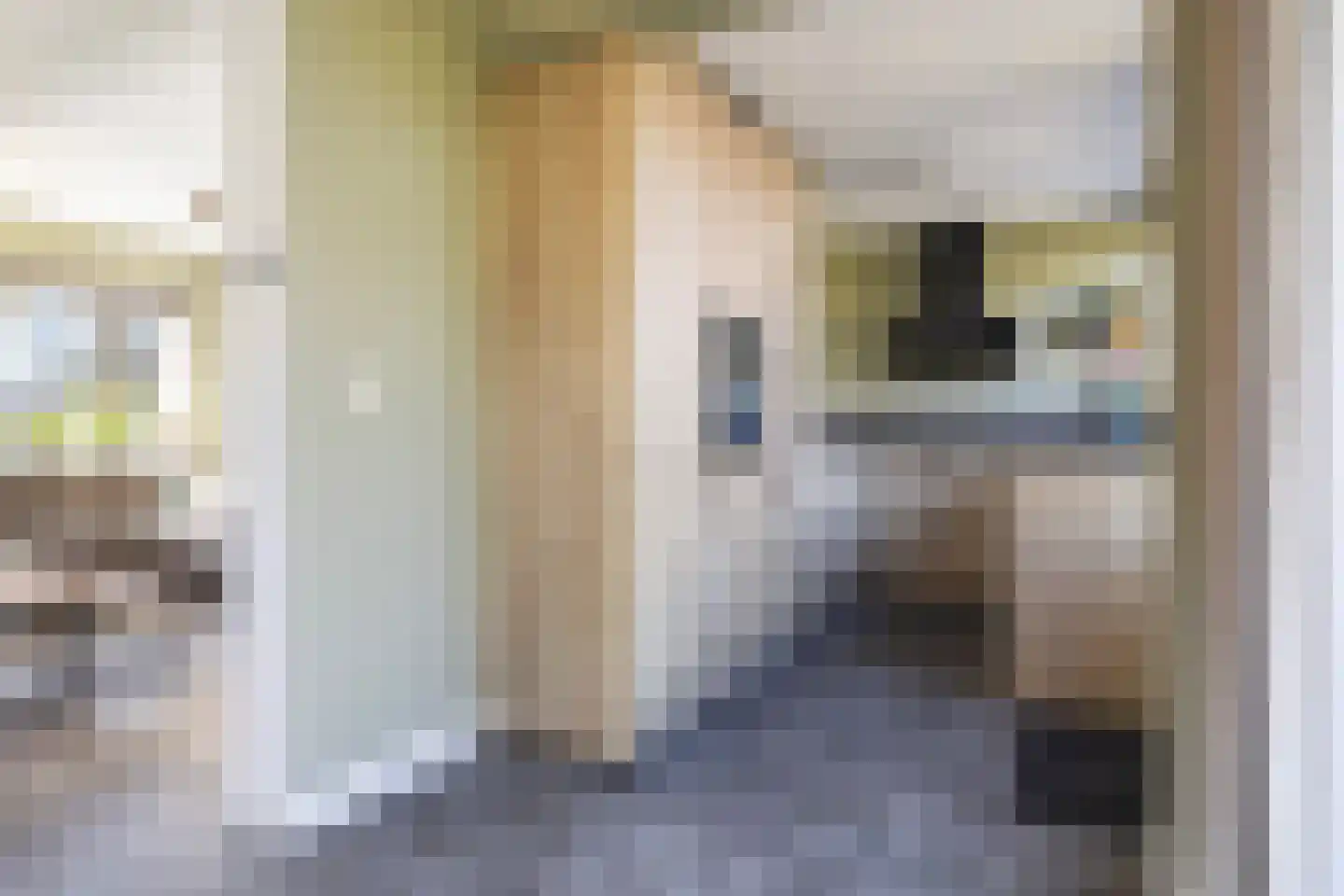 Meijerswegje 22 Emmen thumbnail 20
