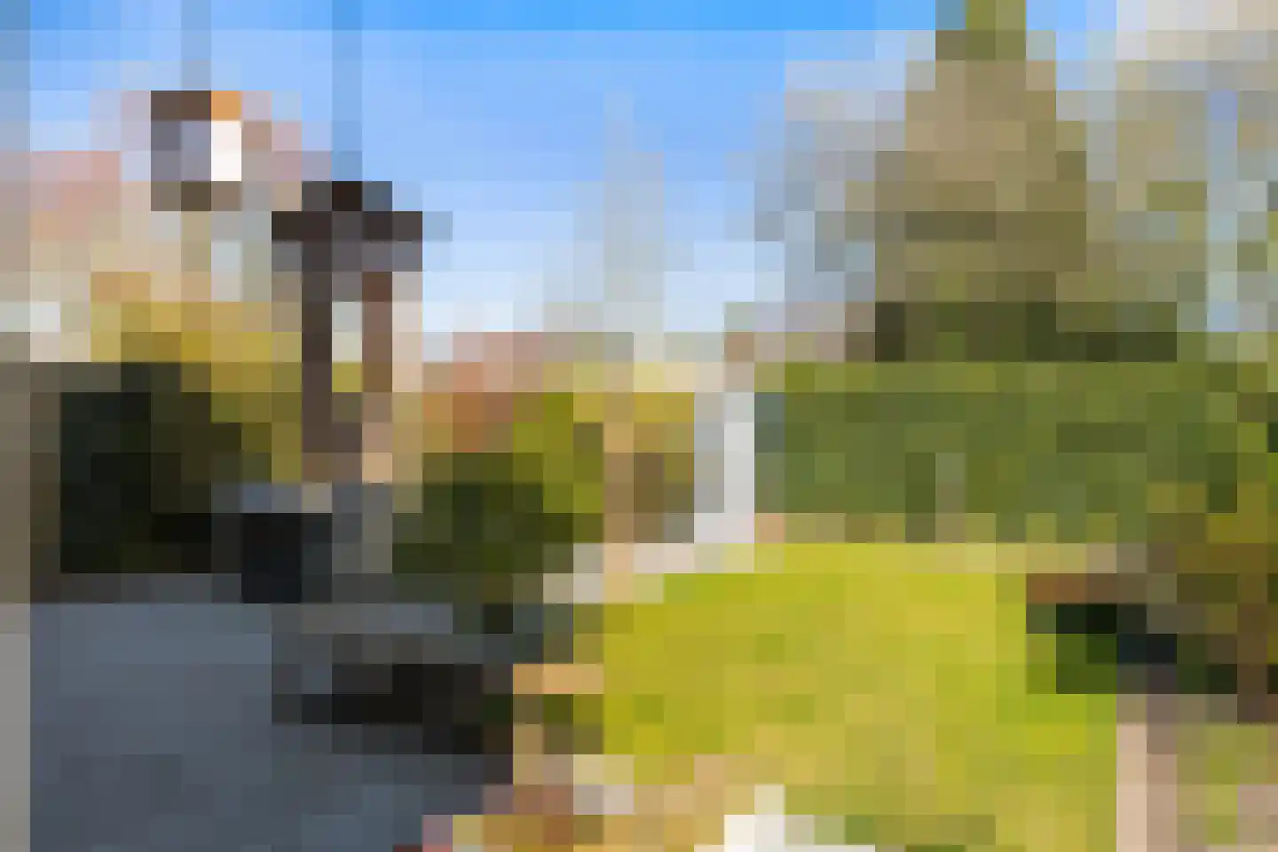 Meijerswegje 22 Emmen thumbnail 23