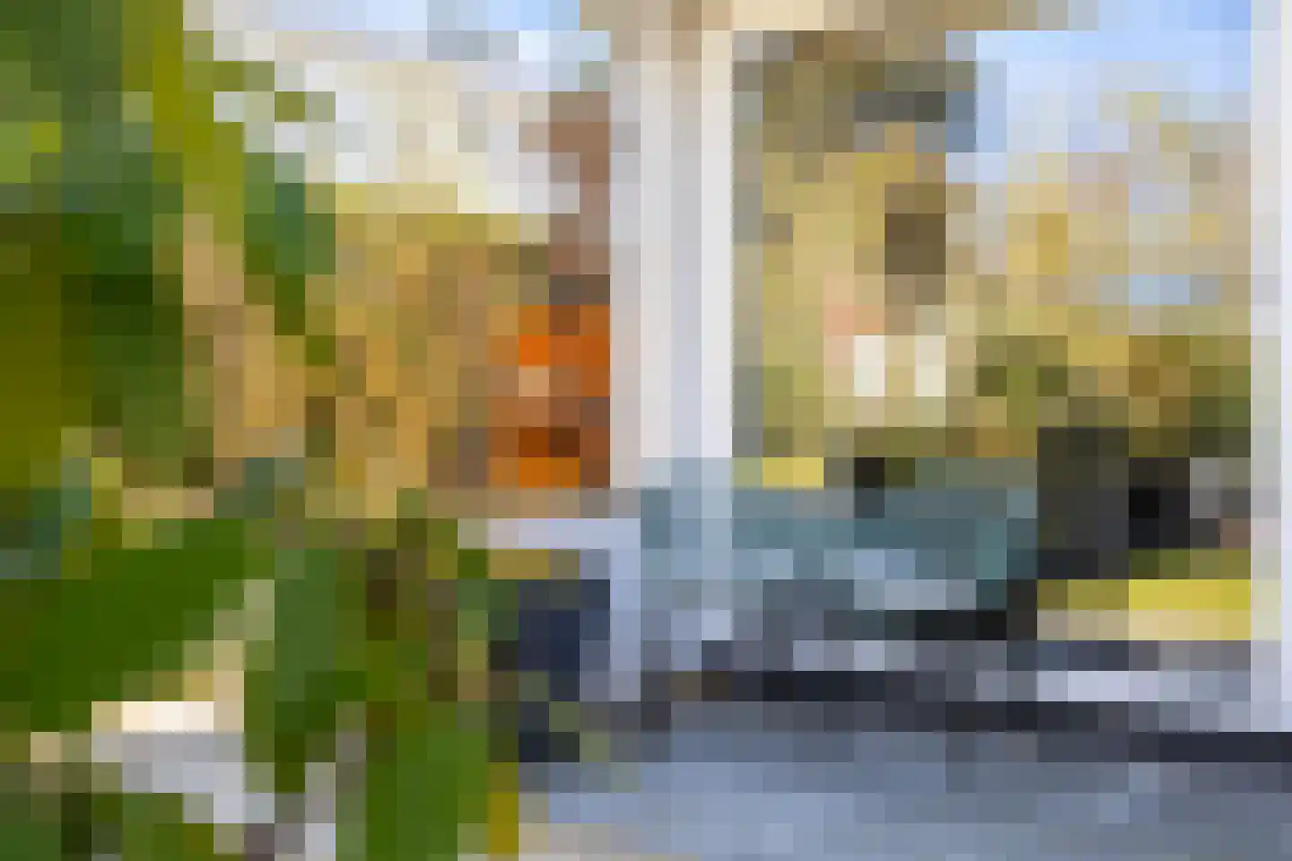 Meijerswegje 22 Emmen thumbnail 25