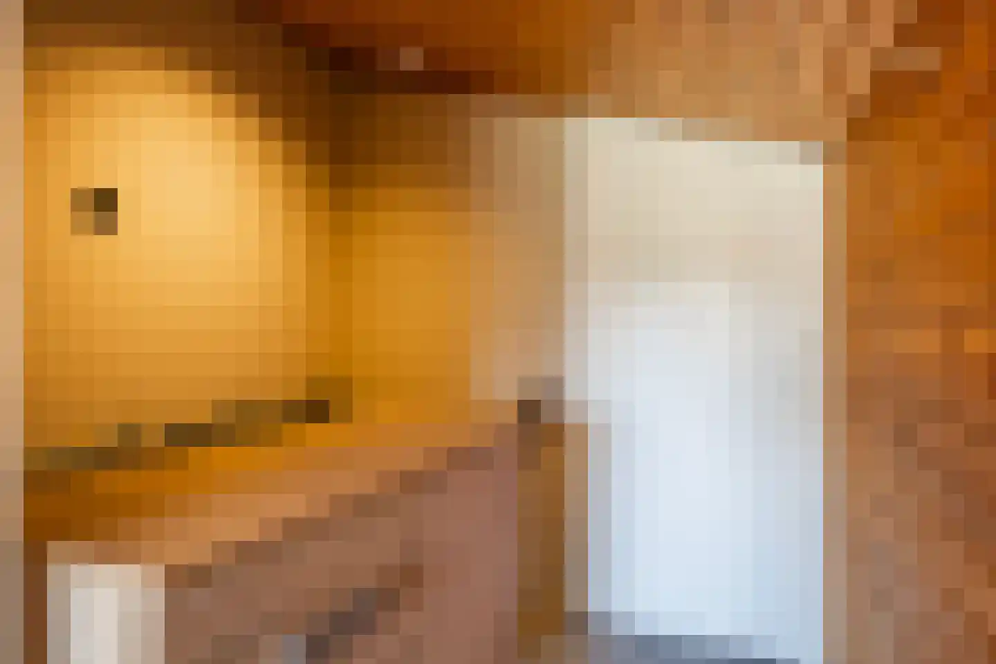 Meijerswegje 22 Emmen thumbnail 41
