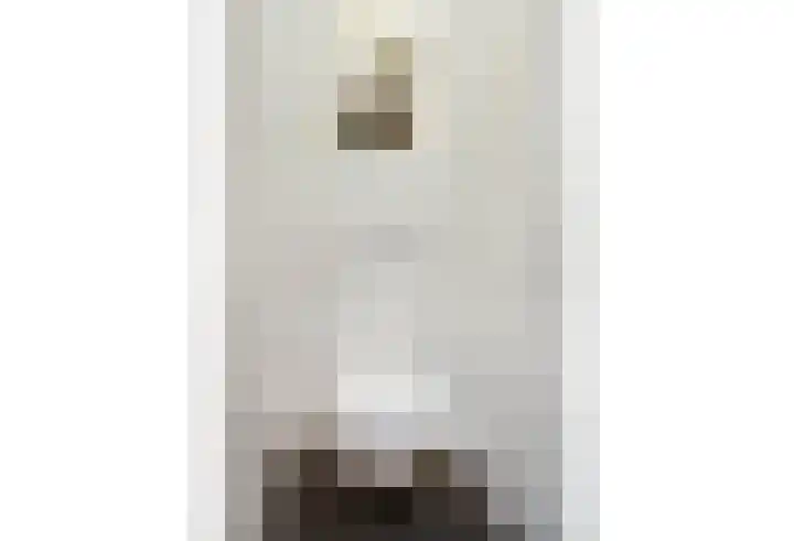 Meijgatenstraat 22 Stein thumbnail 12