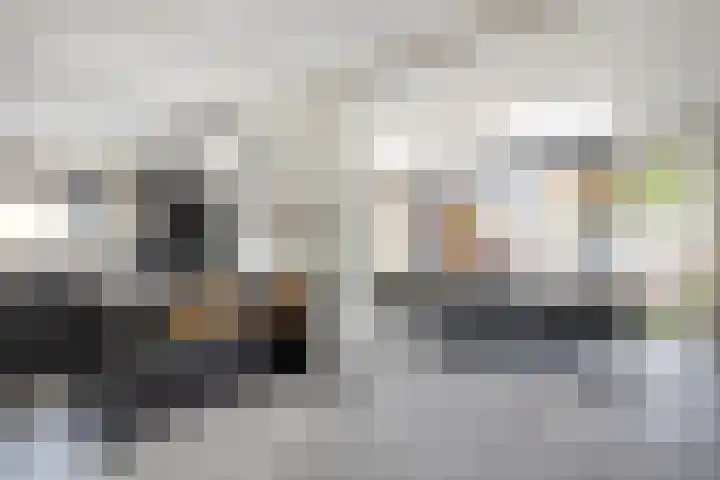 Meijgatenstraat 22 Stein thumbnail 18