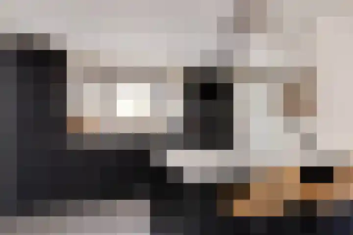 Meijgatenstraat 22 Stein thumbnail 20